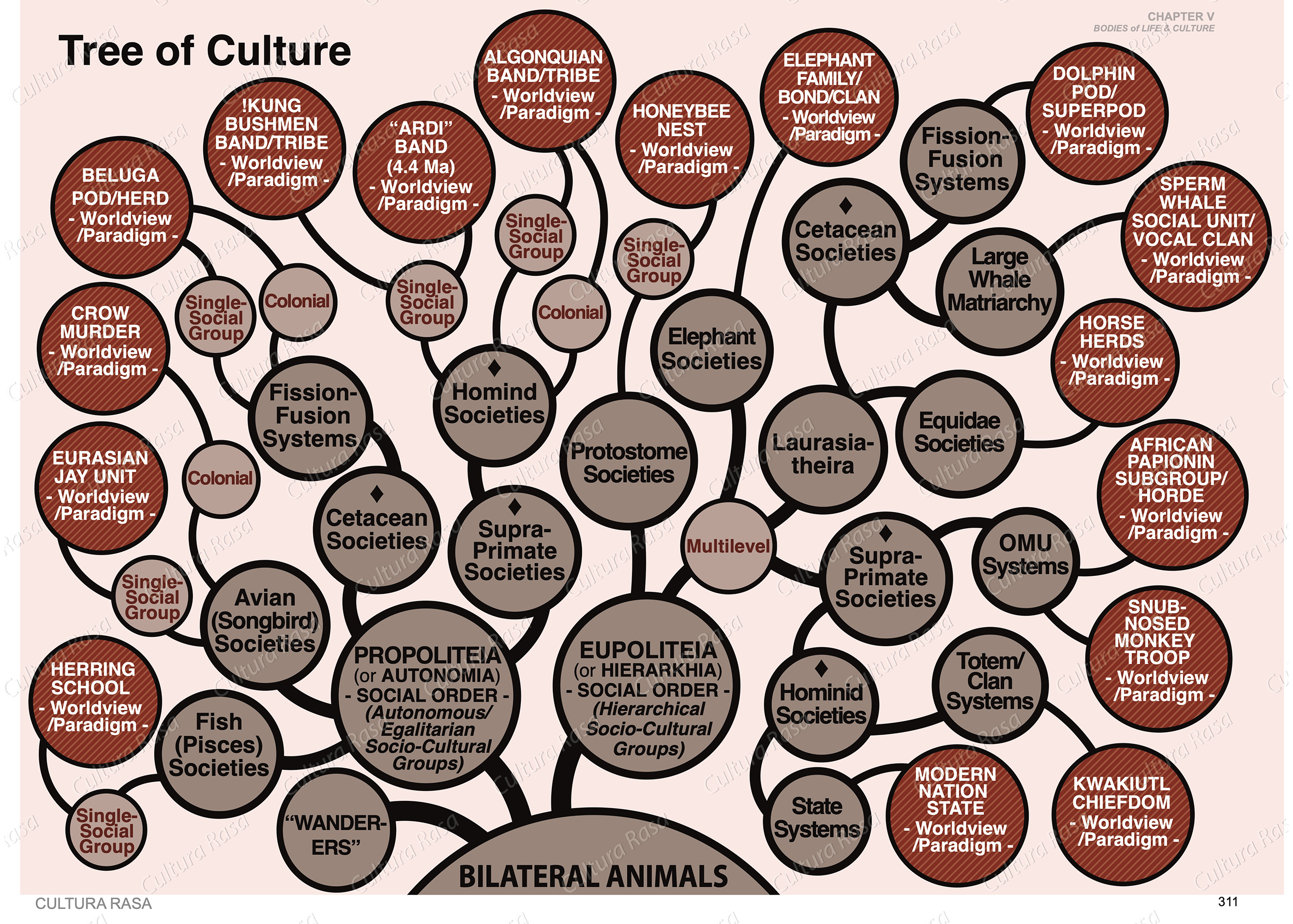 Classification of cultural systems based on their social organization.
